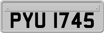 PYU1745