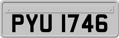 PYU1746
