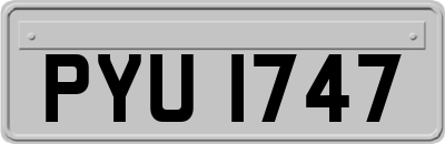 PYU1747