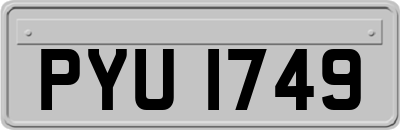 PYU1749