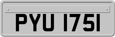 PYU1751