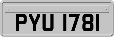 PYU1781