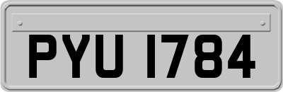 PYU1784