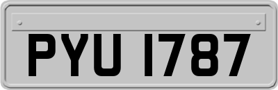 PYU1787