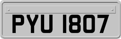 PYU1807