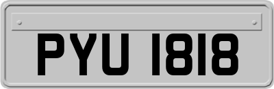 PYU1818