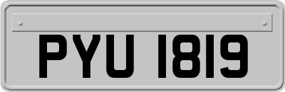 PYU1819