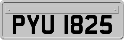 PYU1825