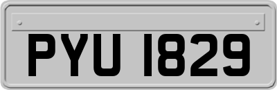 PYU1829