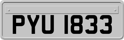 PYU1833