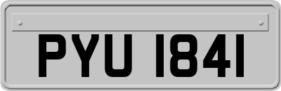 PYU1841