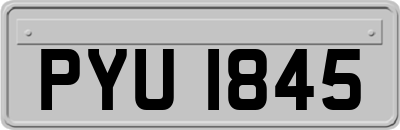 PYU1845