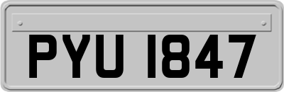 PYU1847