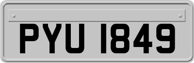 PYU1849