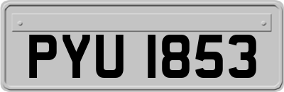 PYU1853