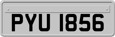 PYU1856