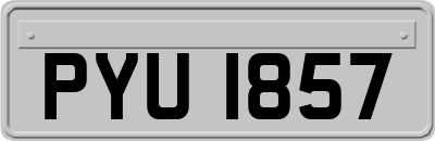 PYU1857