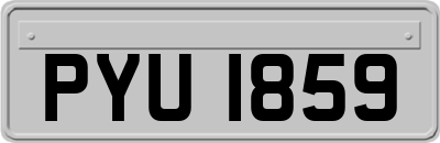 PYU1859