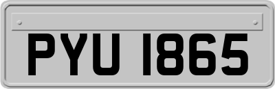 PYU1865