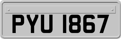 PYU1867