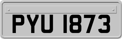 PYU1873