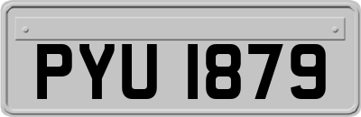 PYU1879