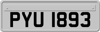 PYU1893