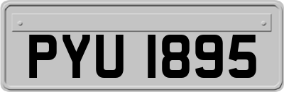 PYU1895