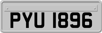 PYU1896