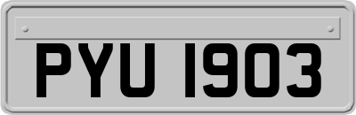 PYU1903