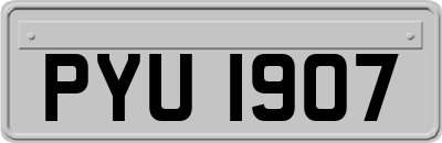 PYU1907