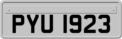 PYU1923