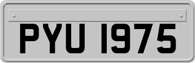 PYU1975