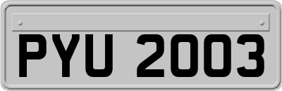 PYU2003