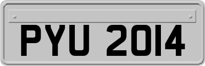 PYU2014