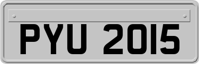 PYU2015