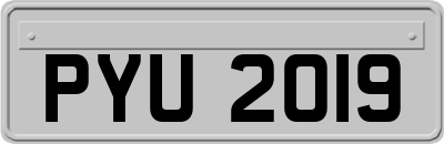 PYU2019