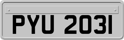 PYU2031