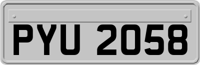 PYU2058