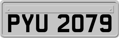 PYU2079