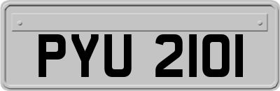 PYU2101