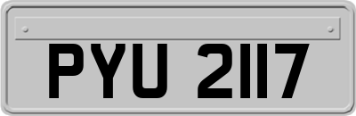 PYU2117