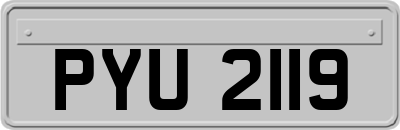 PYU2119