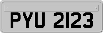 PYU2123