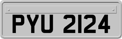 PYU2124