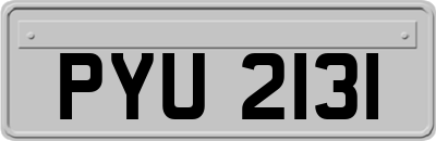 PYU2131