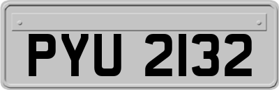 PYU2132