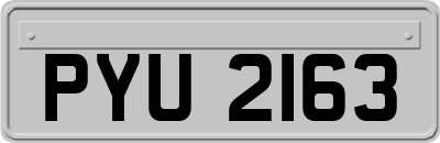 PYU2163