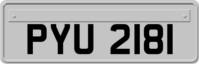 PYU2181