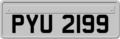 PYU2199